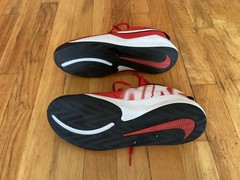 Kids Nike team hustle sneakers