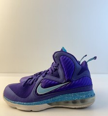 Size 4.5 – Nike LeBron 9 Summit Lake Hornets