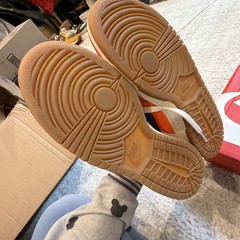 Dunk Low SE Everything You Need GS