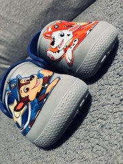 Crocs FunLab Paw Patrol Marshall Chase Grey/Blue US Toddler C6 Super Clean ✅Pics