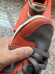 Nike Dunk Low PS Size 3Y College Orange 2006
