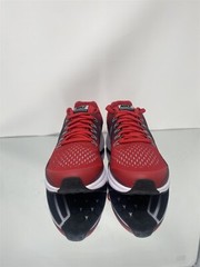 Nike Zoom Pegasus 34