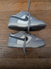 Nike Dunk Low Summit White/Light Carbon TD Toddler Size 11C Shoes (FB9108-101)