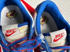 Nike Dunk Low Next Nature PS ‚Superhero‘ Kids Size 3Y Blue FD0673-400