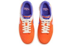 Nike Dunk Low Everything You Need – FN0600-801