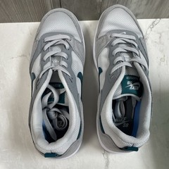 Nike SB Alleyoop GS Particle Grey/Geode Teal US 7 CJ0883-003