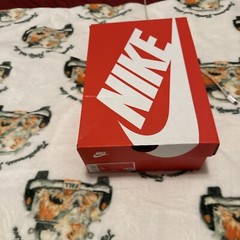 Brand New In The Box Nike Court Borough Low 2 (GS) Size 5Y, 5.5Y, 6Y, 6.5Y, 7Y