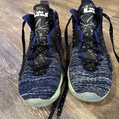 Nike Air Lebron XVII GS Constellations Basketball Shoes (BQ5594-407) 6.0Y Youth