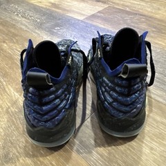 Nike Air Lebron XVII GS Constellations Basketball Shoes (BQ5594-407) 6.0Y Youth