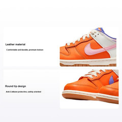 Nike Dunk Low Everything You Need – FN0600-801