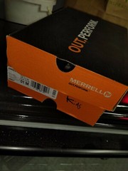 Merrell Jungle Moc (Toddler/Little Kid/Big Kid),India Ink size 01m