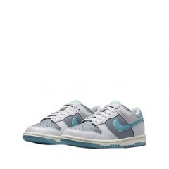 Nike Dunk Low Turqoise Grade School Low Top Athletic Sneakers New FB9109-008