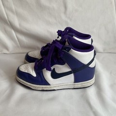 Nike Dunk High Electro DH9753-100 Purple Sz 13 C Youth VGUC