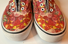 Vans Authentic Floral Print Slip-On Lace-Up Sneakers Men’s Size 5