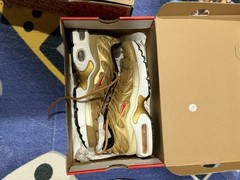 Nike air Max Plus TN SE BG
