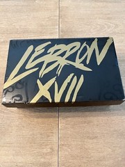 Nike LeBron XVII 17 Air Command Force (GS) BQ5594-100 White Sneakers Size 4.5 Y