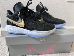 Grade school Lebron XX sz4.5