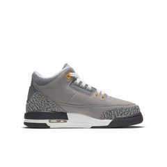 398614 012 Jordan 3 Retro Cool Grey (2021) (GS)