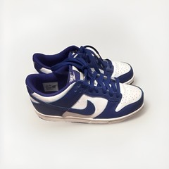 Nike Dunk Teens Blue/White Colorblock Low-Top Lace-Up Sneakers Rubber Outsole