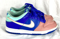 Nike Dunk Low SE GS Salmon Toe Youth Shoes Size 6Y DZ2873-400 Sneakers Leather