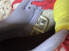 Nike Dunk Low GS Low Top Leather Multicolor Colorblock 6.5 DN0855-600