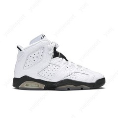 Air Jordan 6 Retro Bg 384665-110