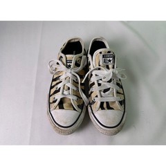 Converse Chuck Taylor All Star Low Zebra Animal Print Little Kids Shoes Sz 13.5