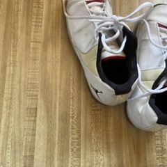 Jordan TE 3 Low 3Y