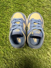 Nike Dunk Low Blue Beyond Beach White (TD)