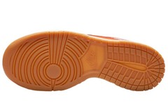 Nike Dunk Low Everything You Need – FN0600-801
