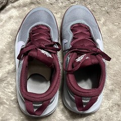Nike Team Hustle D 10 GS Sneakers Grey Beetroot CW6735-007 Youth Sz 5Y Women 6.5