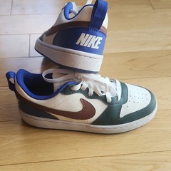 Nike Dunk Low Kids 5.5Y Colorblock Leather Low Top Lace-Up DV5456-300