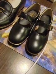Dr Posner’s Posie’s & Flying Ace’s scient Childrens (Victorian) (Saddle Shoes