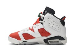 Nike Air Jordan 6 Retro GS Gatorade 384665-145