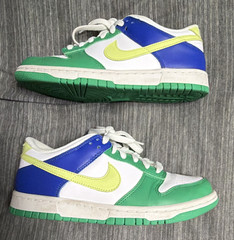 Nike Dunk Low BG Leather Colorblock Sneaker Green/White/Blue/Yellow 6Y