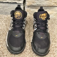Nike Team Hustle D9 Low Graffiti – CQ3705-001 Basketball Shoes Size 4.5Y