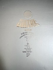Grade school Lebron XX sz4.5