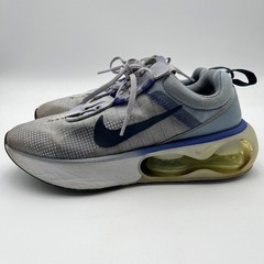 Nike Air Max 2021 Ghost Ashen Slate Size 4Y