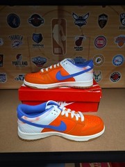 Nike Dunk Low Everything You Need Size 7y Orange GS Sneakers SE 2023 FN0600-801