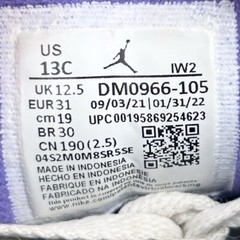 Nike Air Jordan 3 Retro Dark Iris Purple PS DM0966-105 Size 13C