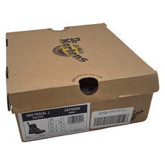 Dr. Martens 1460 Pascal Junior Lace-Up Boots – Iridescent Kidray | US 3M / 4L