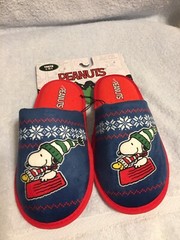 Girl’s Boy’s Peanuts Snoopy Woodstock Christmas Slippers Size Large 13-1 New
