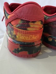 Nike SB Dunk Low The Wizard Of Oz Poppy Field Size 10.5c PS DEADSTOCK