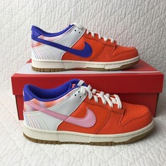 Nike Dunk Low SE (GS) Shoes Youth kids SZ 7Y “Everything You Need “ FN0600-801