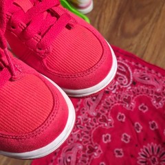Nike Dunk Low Kids 11C Red/White Textile Low Top Lace-Up Sneakers FZ3549-612