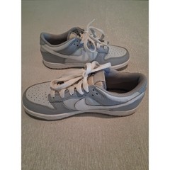 Nike Dunk Low PS Two Tone Wolf Grey White DH9756-001 Size 3Y NO INSOLES As Is