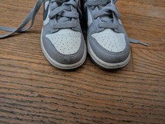 Nike Dunk Low Summit White/Light Carbon TD Toddler Size 11C Shoes (FB9108-101)