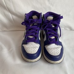 Nike Dunk High Electro DH9753-100 Purple Sz 13 C Youth VGUC