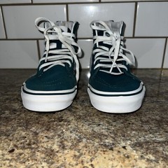Vans SK8-HI Zip Shoe Mythical Glow Deep Teal Glow In The Dark Dragons Youth Sz 3