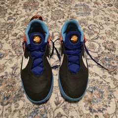 Nike Team Hustle D 10 SE „Tune Squad“